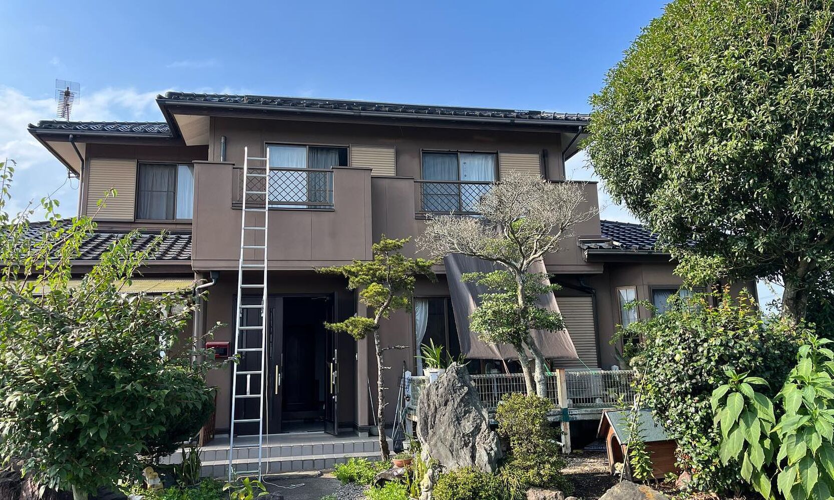 画像1496