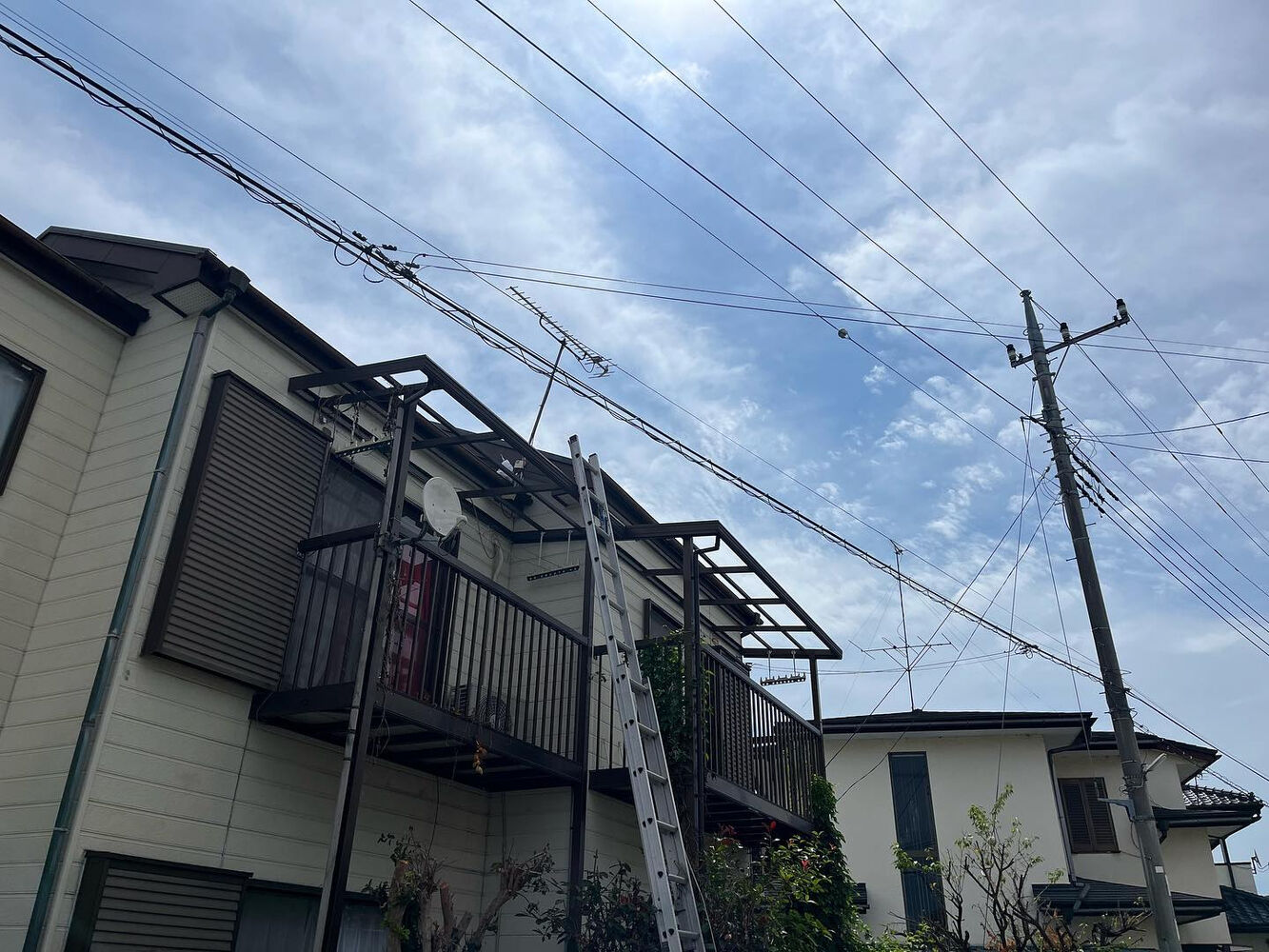 画像1650